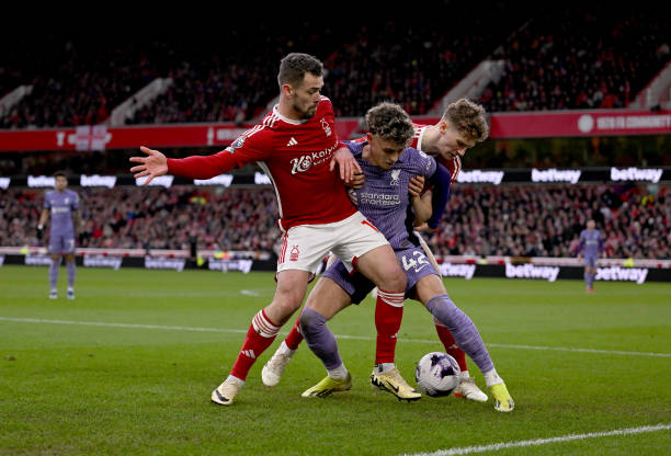 弗莱显然是 弗莱显然是